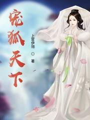 白狐天下2