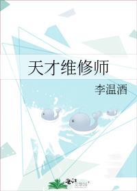 天才维修师资源