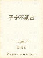 子宁不嗣音的宁什么意思