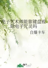 电子咒术师能靠键盘袚除电子咒灵吗有声