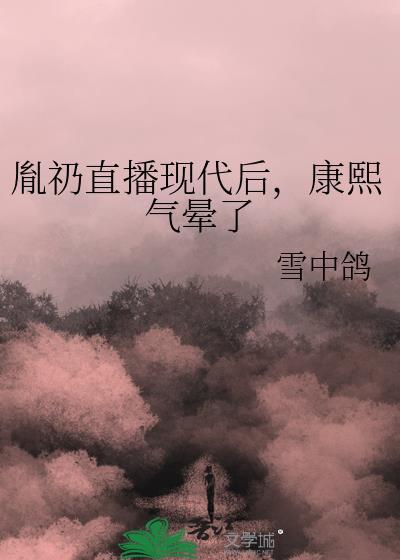 康熙气晕了免费
