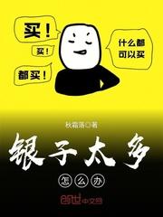 银子太多怎么办?