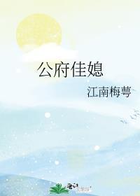 公府佳媳电视剧