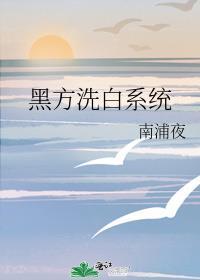 洗白系统