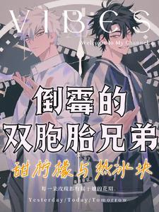 双胞胎兄弟电视剧
