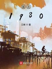 重回1980小人物起点中文网