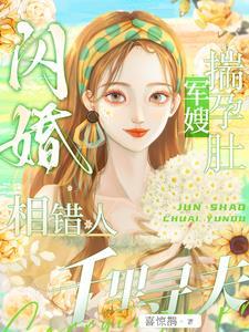 穿越闪婚军嫂