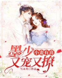 甜婚撩人墨少心尖宠