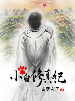 女主修仙文