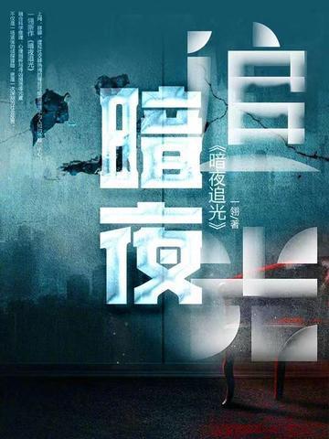 暗夜追光1-36集全剧情