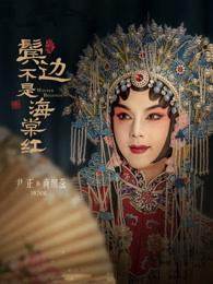 鬓边不是海棠红古大犁结局