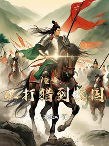 崖山海战的视频