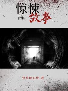 惊悚故事中文版