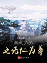 霹雳布袋戏无忌天子