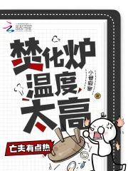 焚化炉多少钱一个