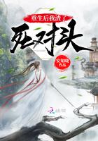 锦书雁回免费txt