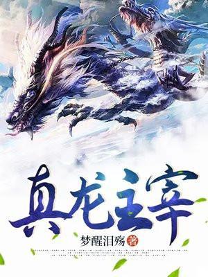 真龙主宰怎么赚钱