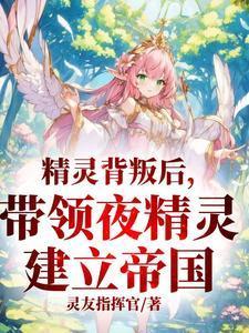 夜精灵之挽歌