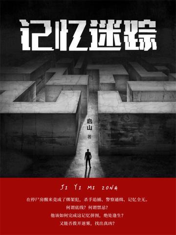 记忆迷踪 电影