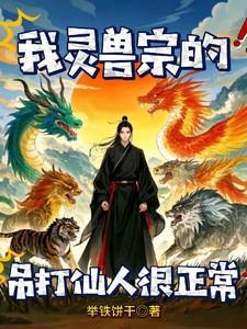 灵兽系统