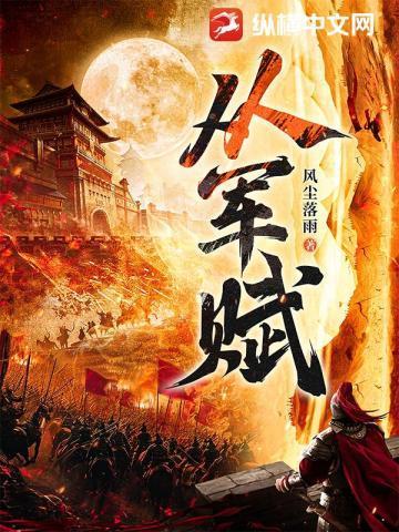 从军赋纵横网