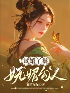 试婚丫头精彩章节