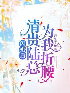 闪婚甜妻陆清泽苏墨108