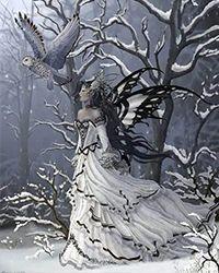 有一本叫秦雪的是什么书