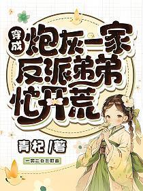 反派弟弟忙开荒讲的什么