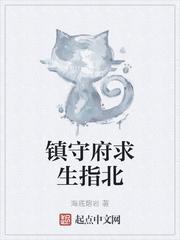 镇守府生存指北起点