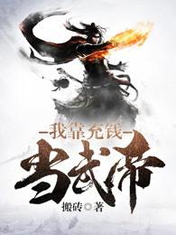 我靠充钱当武帝搬砖