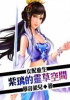 女配重生之紫璃空间