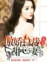 傲娇总裁宠妻无极限