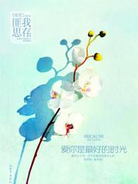 爱你是最好的时光 苏水