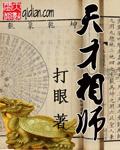 天才相师有续集吗