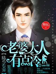 陆少宠妻