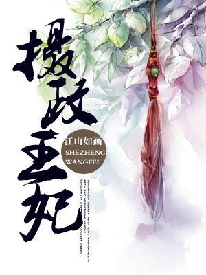 摄政王妃倾天下楚天歌