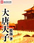 大唐天子李贤穿越免费阅读