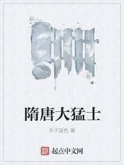 隋朝大猛士笔趣阁