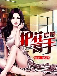 绝世护花高手TXT电子书