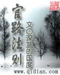 官路法则看书网