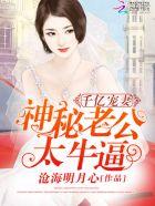 千亿老公宠妻老公超能