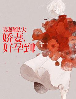 黎湘陆景乔的