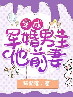 穿成军婚男主他前妻免费阅读