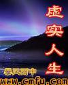 虚实人生TXT