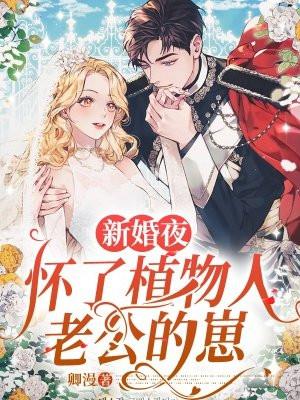 墨少的独宠新妻