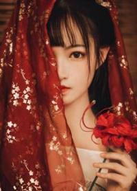 爷王妃又改嫁了