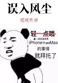 误入风尘的爱情by淡情幽