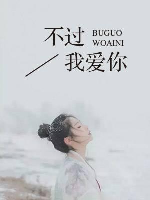 不过是你不爱我歌词