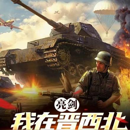 我在亮剑一个团